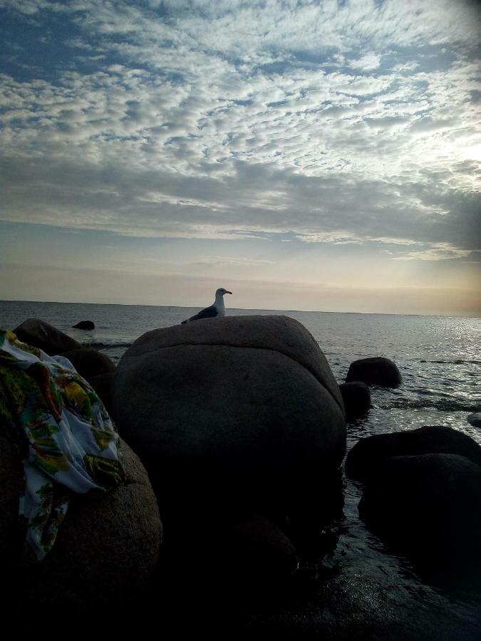Al Mare, Al Sole, Si', Ma Nella Casa Del Minatore Buggerru Buitenkant foto
